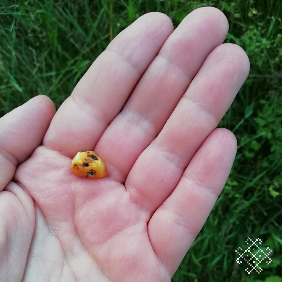 Otwarta dłoń na tle trawy. Na dłoni spoczywa niewielki bursztyn o ciemnopomarańczowej barwie i wyraźnej fakturze.